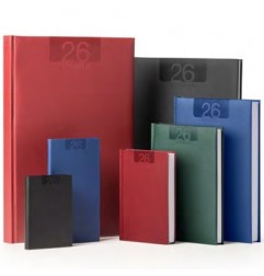 AGENDA 2026 DELTA INTEMPO GIORN. SA/DO SEPARATI 21X30 VERDE 7145DE24