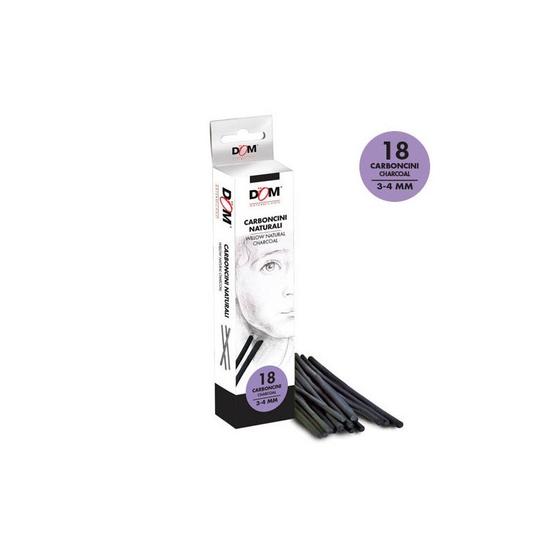 CWR carboncino 12 cm, scatola 18 pezzi, diametro 3-4 mm – 11935 CWR carboncino 12 cm, scatola 18 pezzi, diametro 3-4 mm – 11935