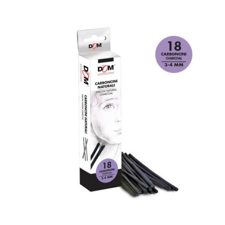 CWR carboncino 12 cm, scatola 18 pezzi, diametro 3-4 mm – 11935