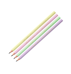 BIC Evolution Pastel set matite grafite HB corpo pastel 12 Pz 518307
