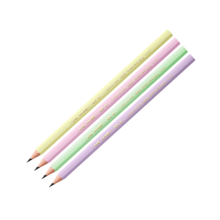 BIC Evolution Pastel set matite grafite HB corpo pastel 12 Pz 518307