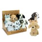 TEOREMA NICE & GOOD - CAGNOLINI 6 MDL 18 CM 39559 TEOREMA NICE & GOOD - CAGNOLINI 6 MDL 18 CM 39559