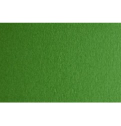 FABRIANO FABCOLORE Carta Da Disegno 70x100 10 fogli - Verde 46303231