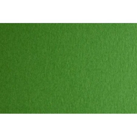 FABRIANO FABCOLORE Carta Da Disegno 70x100 10 fogli - Verde 46303231