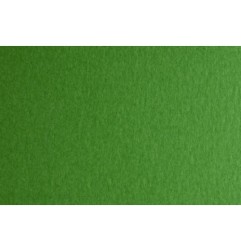 Fabriano FAcolore cartoncino verde 50x70 cm 200 g/m² liscio 20 fogli 44353231