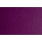 Fabriano FAcolore cartoncino viola 50x70 cm 200 g/m² liscio 20 fogli 44353224 Fabriano FAcolore cartoncino viola 50x70 cm 200 g/m² liscio 20 fogli 44353224
