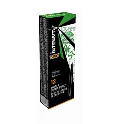BIC Intensity Fine fineliner 0,4 mm verde 12 pezzi