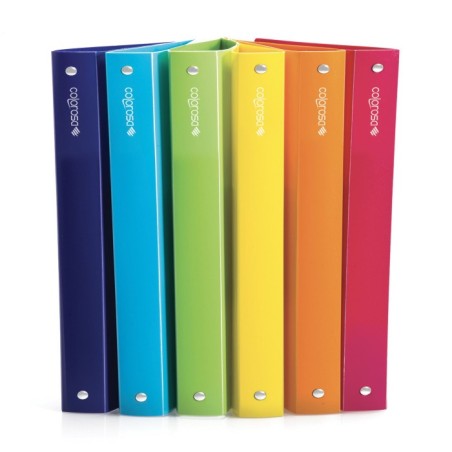 COLOROSA RACCOGLITORI 4 ANELLI DIAM.30 PZ. 6 COL. ASS. 362805.S1