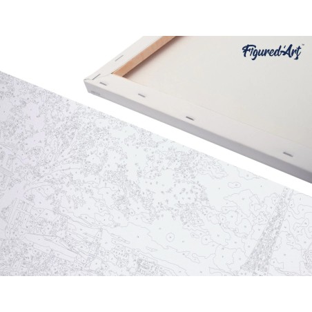 Figured'Art Gattino con riflesso di tigre kit pittura con numeri 40x50 cm PN679-Y