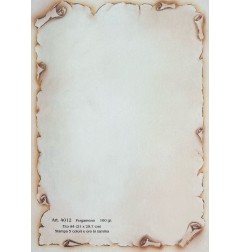 DIPLOMA PERGAMENA A4 160GR (antiqua) 10Fg. 4012
