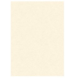 DIPLOMA PERGAMENA A4 160GR NEUTRA 10Fg. 4004