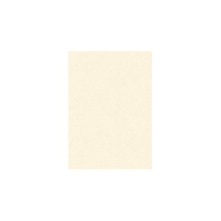 DIPLOMA PERGAMENA A4 160GR NEUTRA 10Fg. 4004