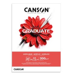 CANSON BLOCCO GRADUATE ACRILICO A3 300gr. 20FG COLLATO C525008016