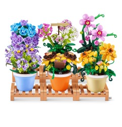 MGG Max Costruzioni Garden Piantine 6 soggetti ZUR83183