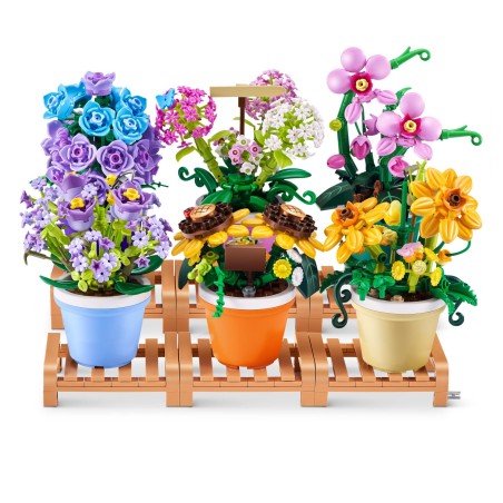 MGG Max Costruzioni Garden Piantine 6 soggetti ZUR83183