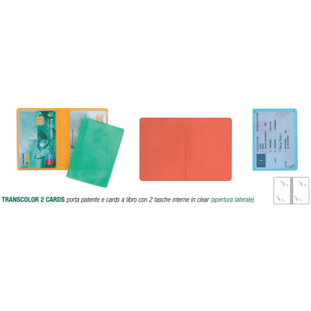 TRANSCOLOR 2 CARDS SVAR 20051160