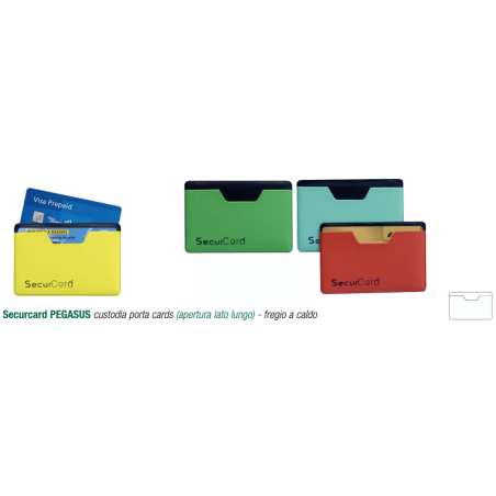 SECURCARD PEGASUS 2 CARDS SVAR 20033300