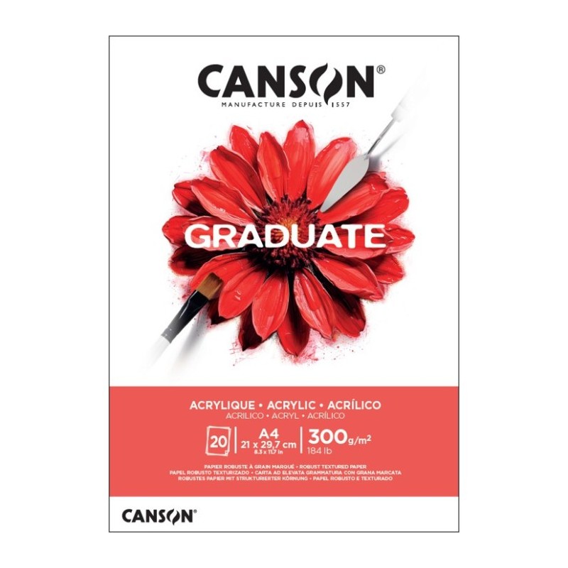 Canson blocco per acrilico Graduate Acrylique A4 300 g/m² 20 fogli collato C525008015