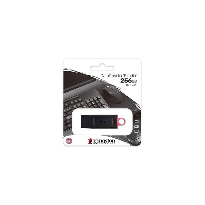 Kingston DataTraveler Exodia pen drive 256 GB USB 3.2 Kingston DataTraveler Exodia pen drive 256 GB USB 3.2