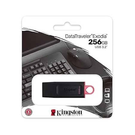 Pen Drive 256 GB USB 3.2 Kingston DTX