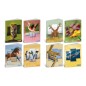 Blasetti Animal Label 100 maxi quaderni A4 100 g 18+1 fogli rigatura 10M – confezione 10 pezzi 9292 Blasetti Animal Label 100 maxi quaderni A4 100 g 18+1 fogli rigatura 10M – confezione 10 pezzi 9292