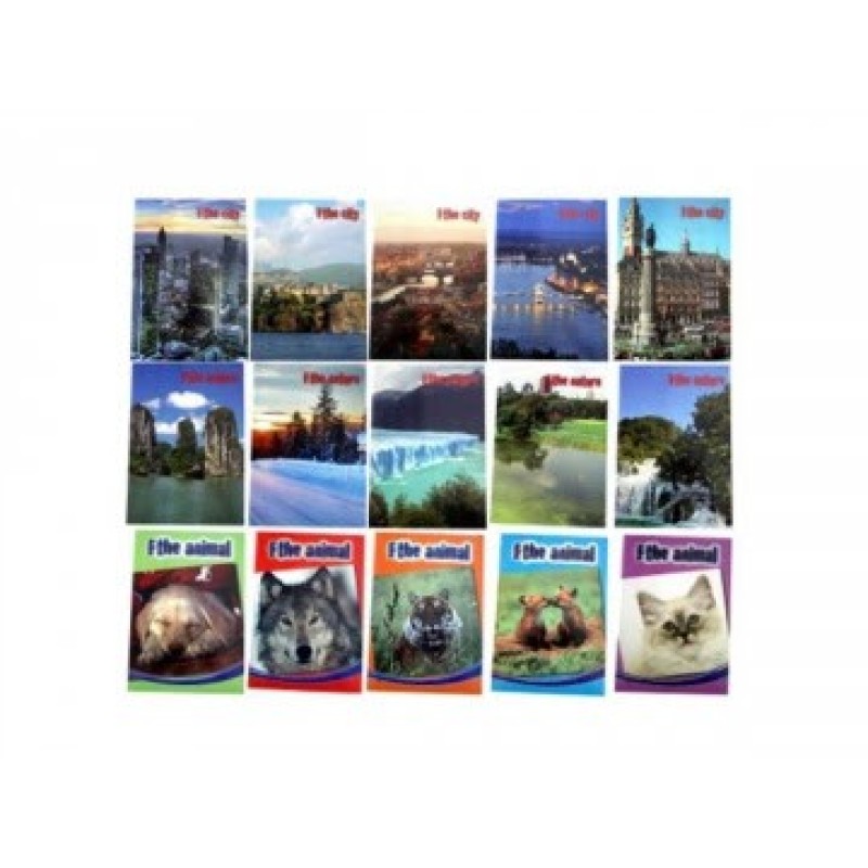 Cartopiù maxi quaderno cartonato A4 64 fogli 80 g rigatura B copertina fantasia con risguardo Cartopiù maxi quaderno cartonato A4 64 fogli 80 g rigatura B copertina fantasia con risguardo
