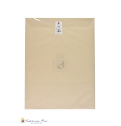 Cartotecnica Rossi carta velina colorata beige F005A 50x76 cm, 24 fogli
