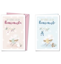 Cromo biglietti d'auguri Nascita, 12 pezzi in 2 soggetti – NA8939