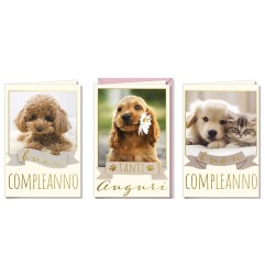 Cromo biglietti d'auguri Compleanno cuccioli, 12 pezzi in 3 soggetti – BC9978
