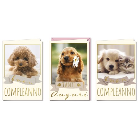 Cromo biglietti d'auguri Compleanno cuccioli, 12 pezzi in 3 soggetti – BC9978