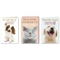 Cromo biglietti d'auguri cuccioli, cagnolini e gattino in fotografia, 12 pezzi in 3 soggetti – BC9054 Cromo biglietti d'auguri cuccioli, cagnolini e gattino in fotografia, 12 pezzi in 3 soggetti – BC9054