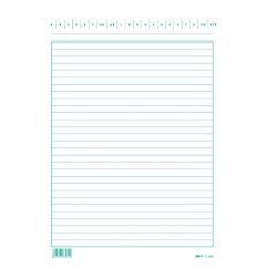 100 schede rigate verticale 24x17cm colore verde Edipro - E3393VE