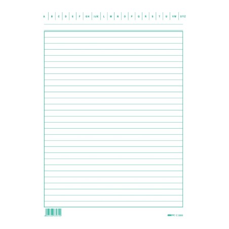 100 schede rigate verticale 24x17cm colore verde Edipro - E3393VE