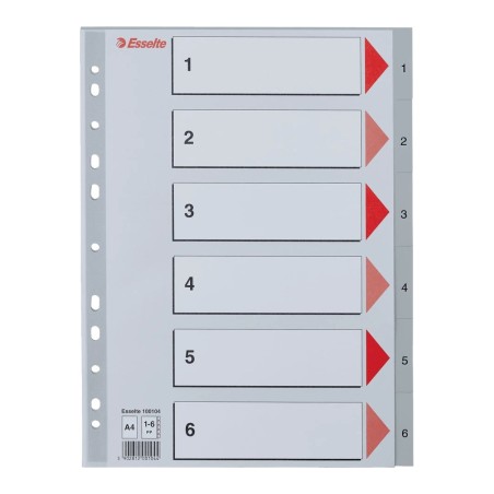 Divisori Esselte rubrica numerica 1-6 in polipropilene grigio, formato A4 - 100104