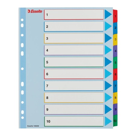 Rubrica Esselte numerica 1-10 con indice riscrivibile in cartoncino, formato A4 Maxi - 100208
