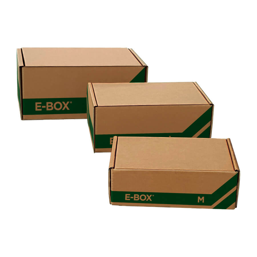 10 pezzi E-box Blasetti scatola spedizioni postali M 36x24x12 0363