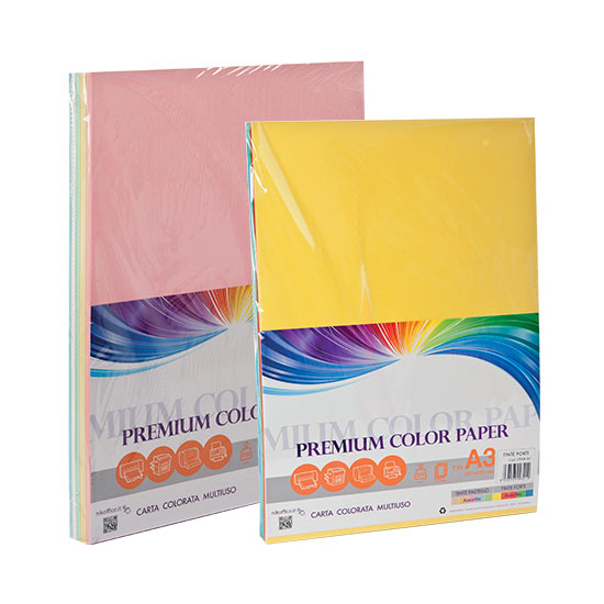 100 fogli Carta per fotocopie 5 colori intensi A3 200 gr 23/167